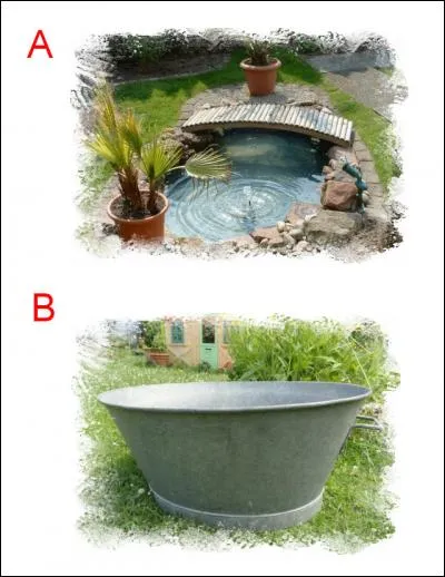 La lettre ajoutée est :