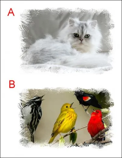 La lettre ajoutée est :