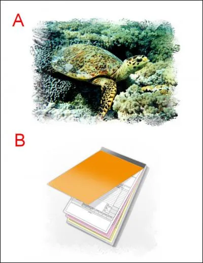 La lettre ajoutée est :