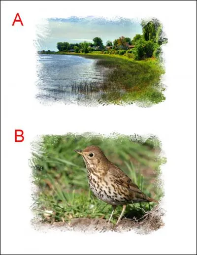 La lettre ajoutée est :