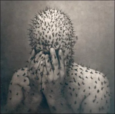 Le frère du titan Prométhée est :