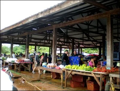 Quel nom porte cette population originaire d'Asie, installée depuis 1977 dans plusieurs villages guyanais où elle pratique l'agriculture?