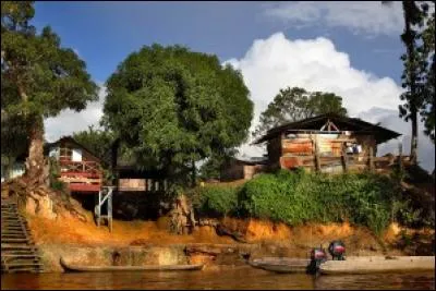 Quels nom porte ce grand groupe de population guyanaise, ou "Noirs-Marrons", descendant d'esclaves révoltés ou en fuite ?