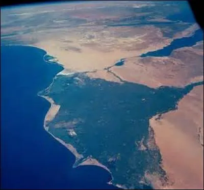 LE NIL - Avec ses eaux limoneuses, ce fleuve traverse une dizaine de pays du continent africain, avant de se jeter dans...