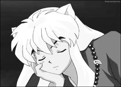 De qui Inuyasha finit-il par tomber amoureux ?