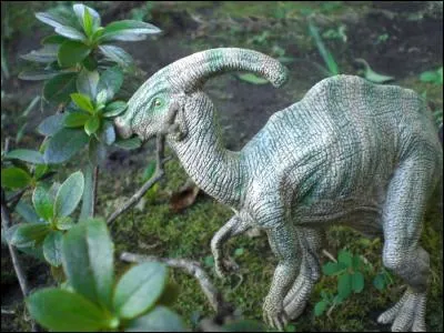 Quelle était l'utilité de la drôle de crête sur la tête du parasaurolophus ?