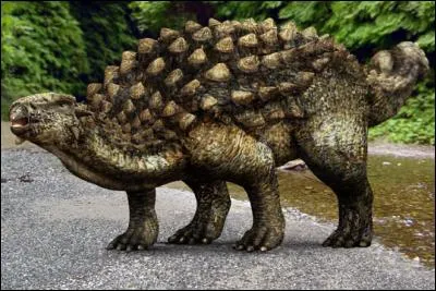 L'ankylosaure fut découvert sur un de ces trois continents. Lequel est-ce ?