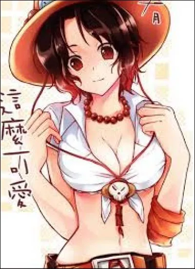 Un jour Marco va r&eacute;veiller la 2&egrave;me division, mais leur commandant Ace est devenu...