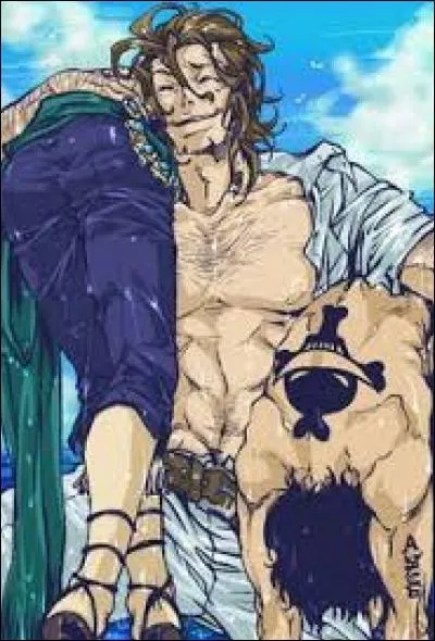 Qui a rep&ecirc;ch&eacute; deux idiots ?