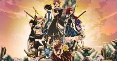 La photo vient du manga Fairy Tail, est-ce que c'est une affiche de film ou d'arc ?