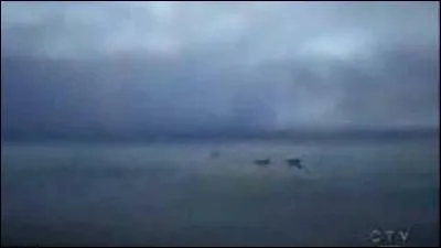 Qui l'a donc sauvée ?