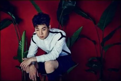 Coche les artistes solo.