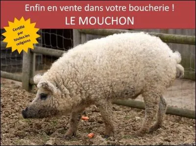 Journée du sang : s'inscrire ...