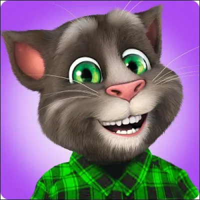 Comment s'appelle ce chat ?