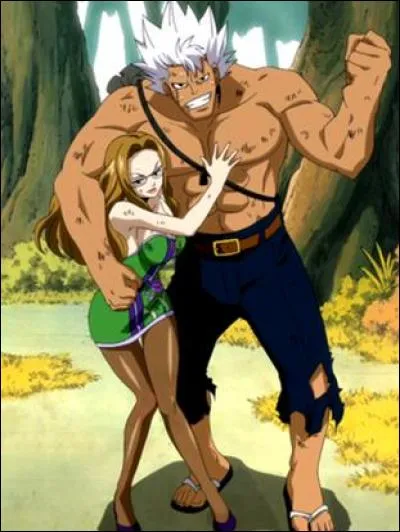 Complétez : Ever Green et Elfeman combattent ... pendant ce temps Mirajanne et Lisanna tentent de s'occuper de...