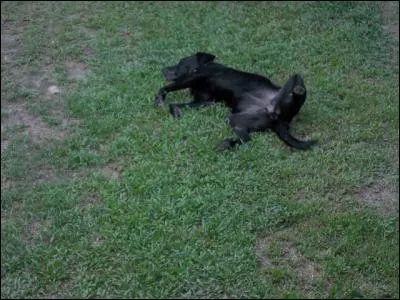A Marseille, vous pouvez déambuler dans le boulevard du Cabot !