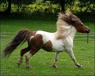 Lequel de ces vaccins est obligatoire ?