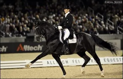 Que signifie la RLM en dressage ?