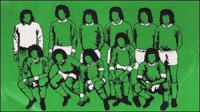Les joueurs de football de l'équipe de Nantes sont surnommés "Les Verts".