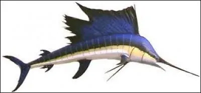 Le record de vitesse sous l'eau est détenu par l'espadon voilier. Capable de nager à 110 km/h, il est aussi rapide que le guépard.