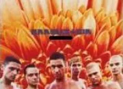 Quiz Rammstein