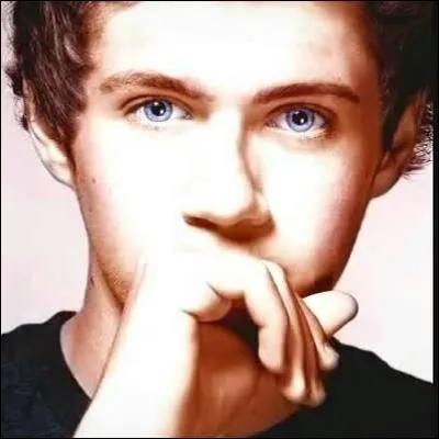 Quel animal préfère-t-il ?