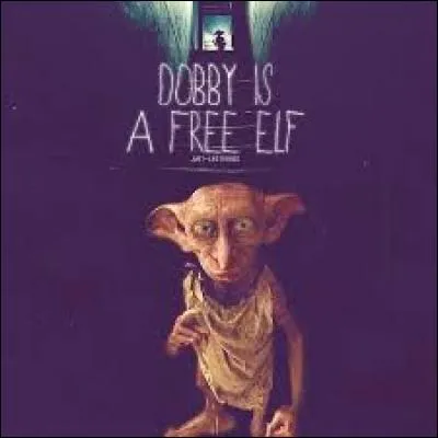 Vladimir Poutine a très bien apprécié sa ressemblance avec Dobby.