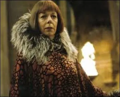 Rosamund Pike devait jouer le rôle de Madame Maxime.