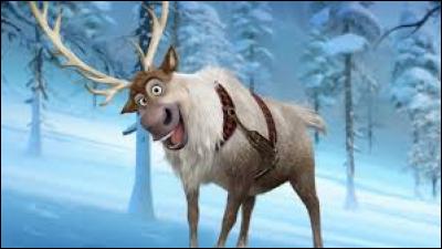 L'équipe a fait venir un vrai renne pour pouvoir créer le personnage de Sven.