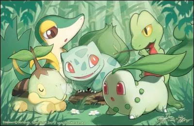 Qui est le petit Pokémon en bas à droite des autres ?