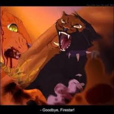 Combien de vies Fléau a-t-il enlevées à Étoile de Feu ?