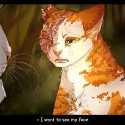 Qui était Nuage Agile pour Cur Blanc ?