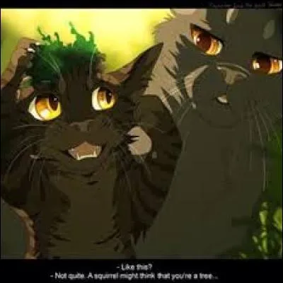 Qui était la mère d'Étoile Brisée ?