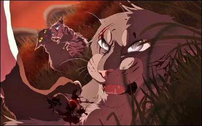 Pelage de Silex était le mentor de...