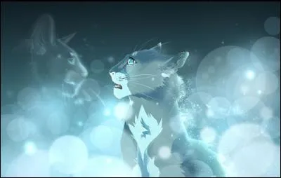 Qui était le vrai compagnon d'Étoile Bleue ?