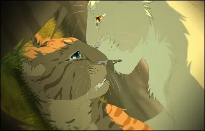 Qui était la première compagne de Truffe de Sureau, morte en se faisant mordre par un serpent pour sauver un chaton ?