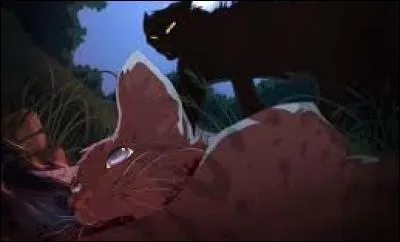 Qui a tué Pelage de Granit ?