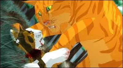 Qui a assassiné Petite Feuille ?