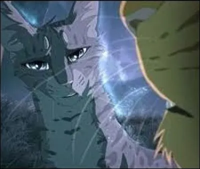 Comment leurs chatons s'appelleront-ils ? (Question d'avant)