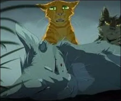 Qui est la première apprentie de Cur de feu, blessée à vie sur le chemin du tonnerre ?