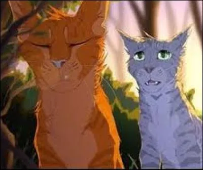 Que représente Pelage de Granit dans la famille de Poil d'Écureuil ?