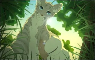 Un guérisseur hors du commun !