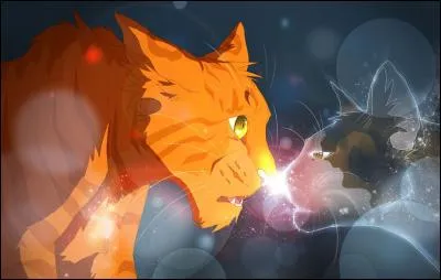 Quelle vie Petite Feuille attribuera-t-elle à Étoile de Feu ?