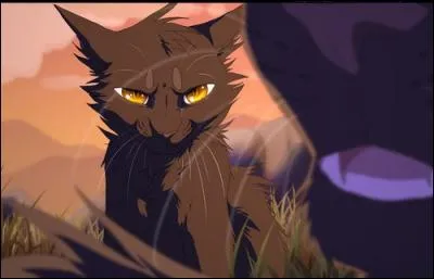 La pauvre, il ne l'aime même pas !