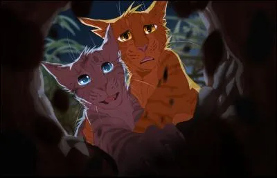 Ses frères voulaient la sauver...