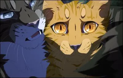 Il a entraîné cet apprenti avec des pouvoirs !