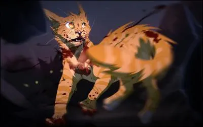 Au fait, quel est le pouvoir du chat de la question 19 ?