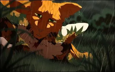 Qui était amoureux de la guérisseuse des questions 8 et 13 ?