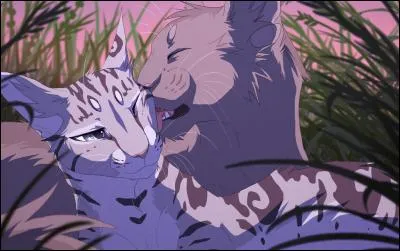 De qui est tombé amoureux le lieutenant de la question 22 ?