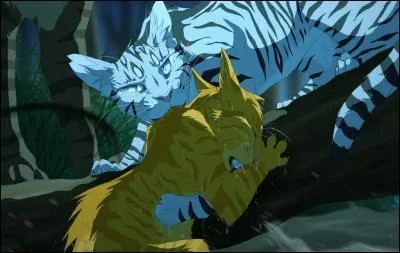 Qui a déjà sauvé Nuage de Feu de la noyade ?